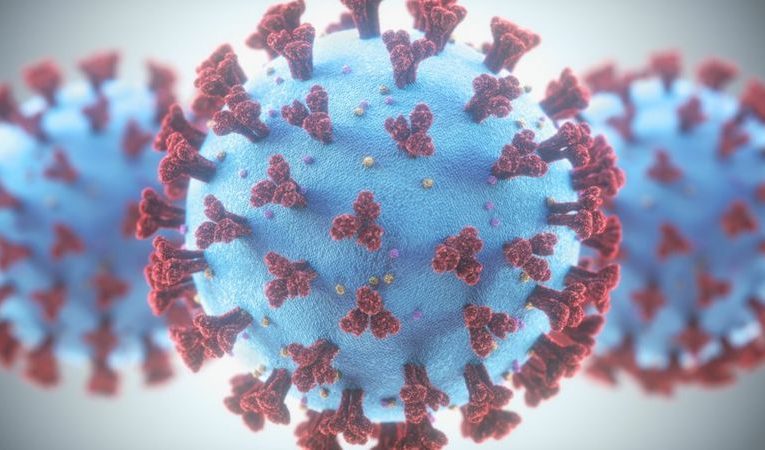 Evolución del coronavirus: qué es la mutagénesis letal (y en qué medida podría ayudar a combatir la covid-19)